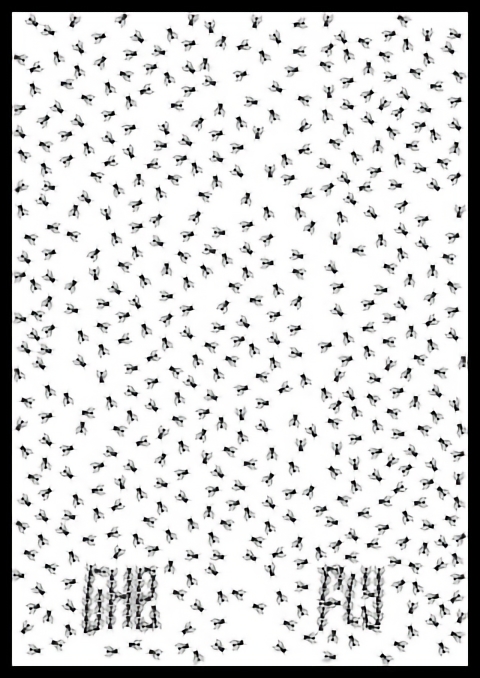 The Fly - fly poster